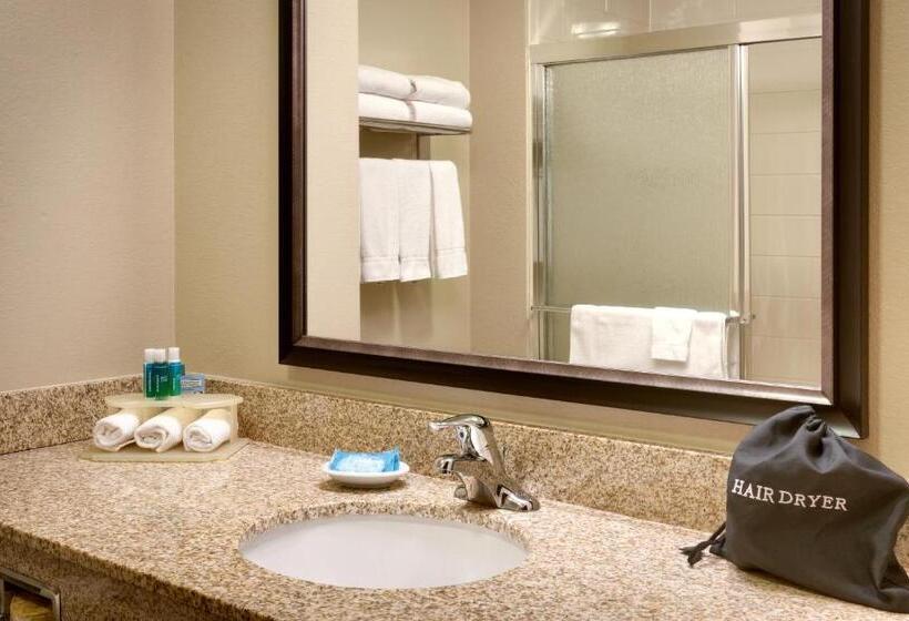 Стандартный Номер Кровать Кинг, Holiday Inn Express Orem North Provo, An Ihg