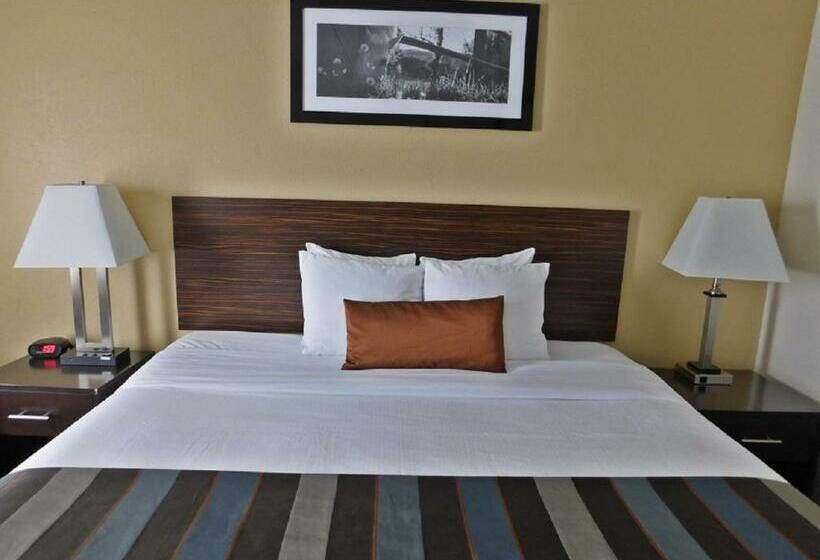 Стандартный Номер Кровать Кинг, Wingate By Wyndham Bowling Green