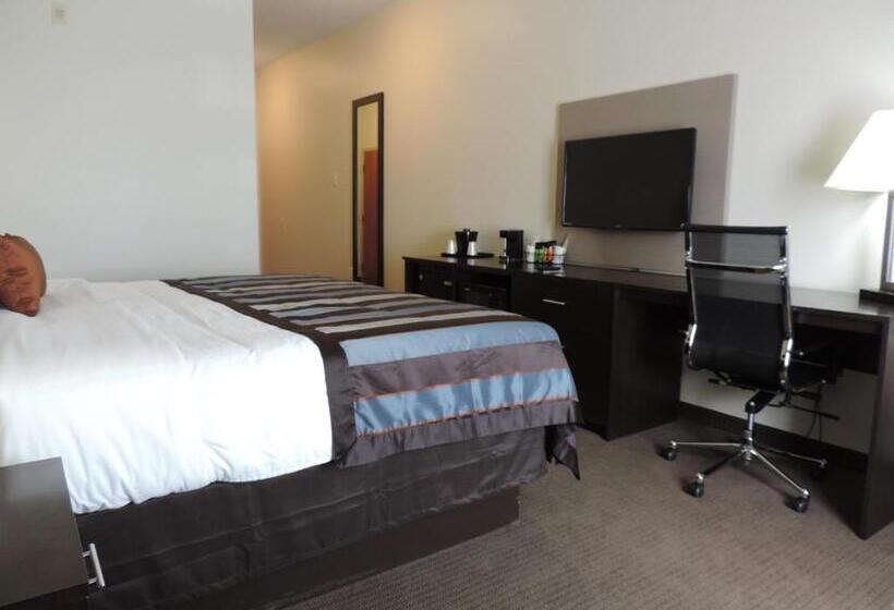 Стандартный Номер Кровать Кинг, Wingate By Wyndham Bowling Green