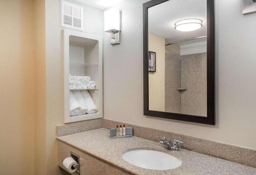 Студио Стандарт Кровать Кинг, Wingate By Wyndham Bowling Green