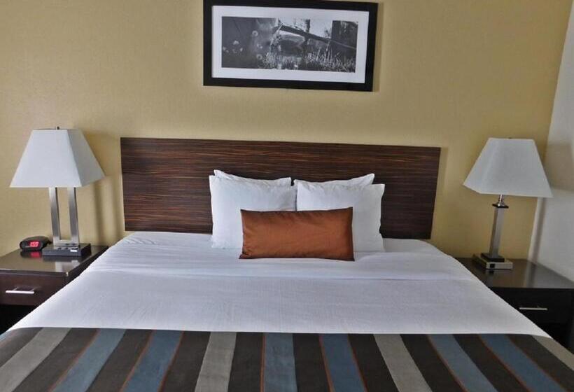 Студия Deluxe, Wingate By Wyndham Bowling Green