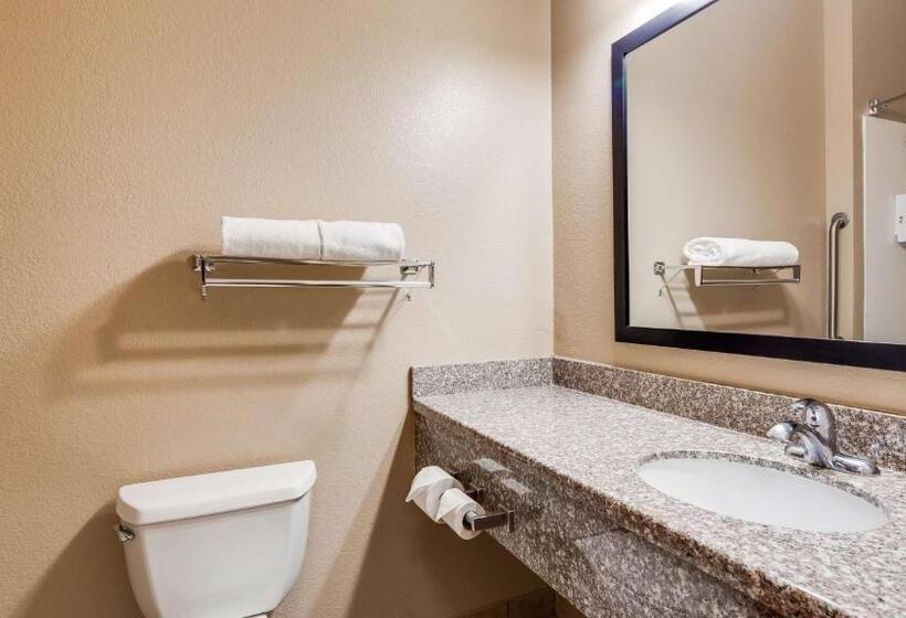 Номер Стандарт, Best Western El Quartelejo Inn & Suites