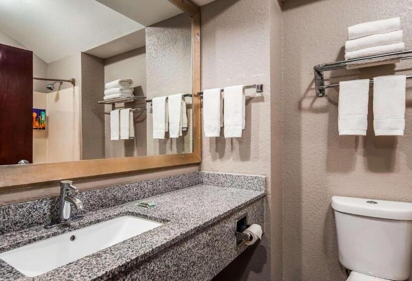 Стандартный Номер Кровать Кинг, Best Western Executive Inn