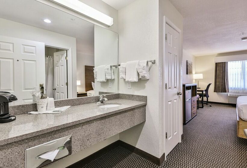 스탠다드 룸 더블 침대, Best Western Mountain View Inn