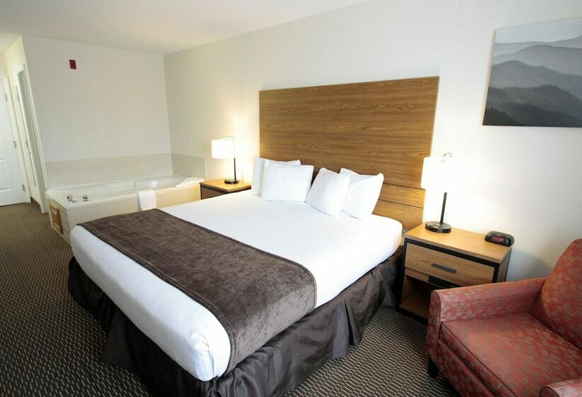 스탠다드 룸 더블 침대, Best Western Mountain View Inn