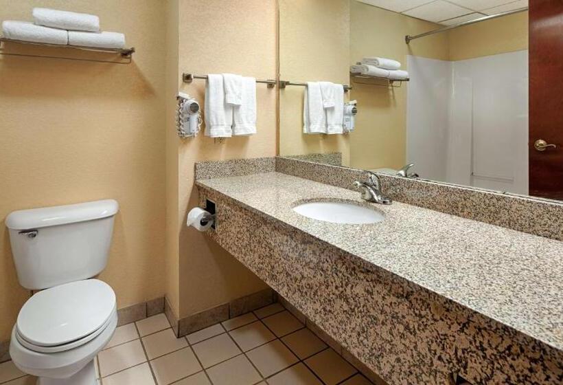 Номер Стандарт Кровать Кинг Адаптированный для Инвалидов, Best Western Of Wise
