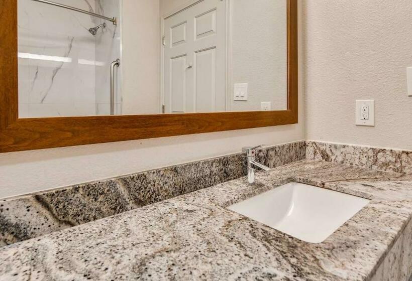 스탠다드 룸 킹사이즈 침대, Surestay Plus By Best Western Fort Worth Benbrook