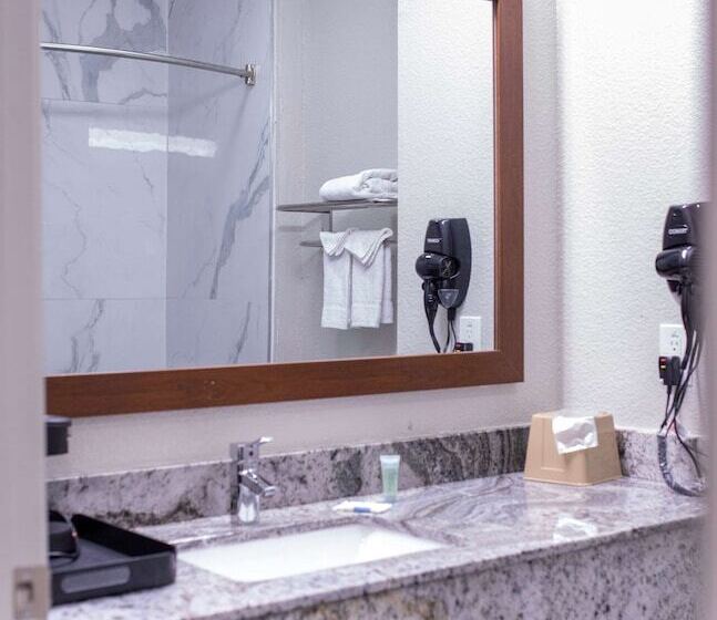 장애인을 위한 스위트, Surestay Plus By Best Western Fort Worth Benbrook