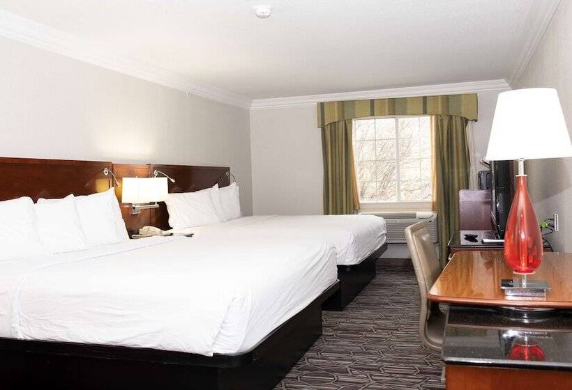 스탠다드 룸, Surestay Plus By Best Western Fort Worth Benbrook