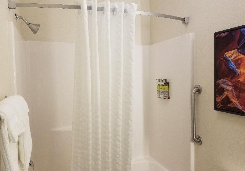 Студия Стандарт, Candlewood Suites Apex Raleigh Area, An Ihg