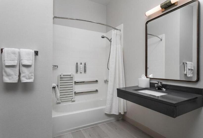 带大床的标准间, Fairfield Inn & Suites By Marriott Chattanooga South East Ridge