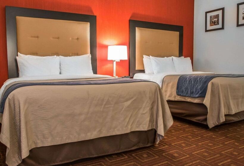 Номер Стандарт 2 Двуспальные Кровати, Quality Inn & Suites Nj State Capital Area