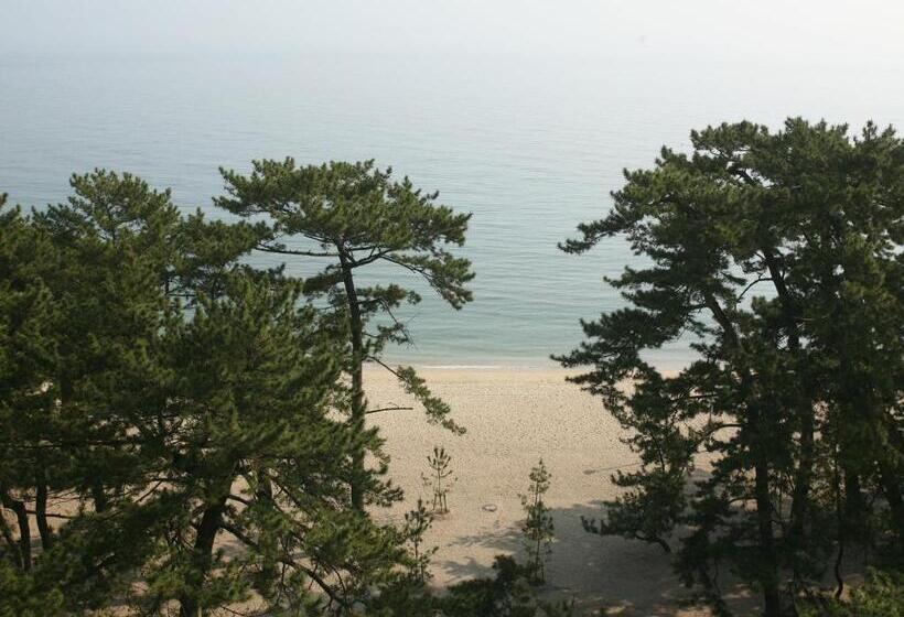 수피리어 룸, Yumekaiyu Awajishima