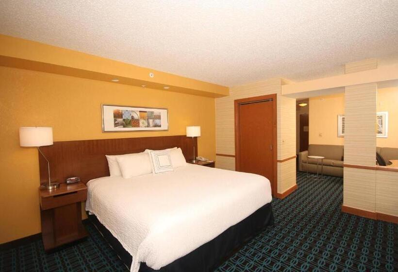 带大床的标准工作室, Fairfield Inn & Suites By Marriott Aiken