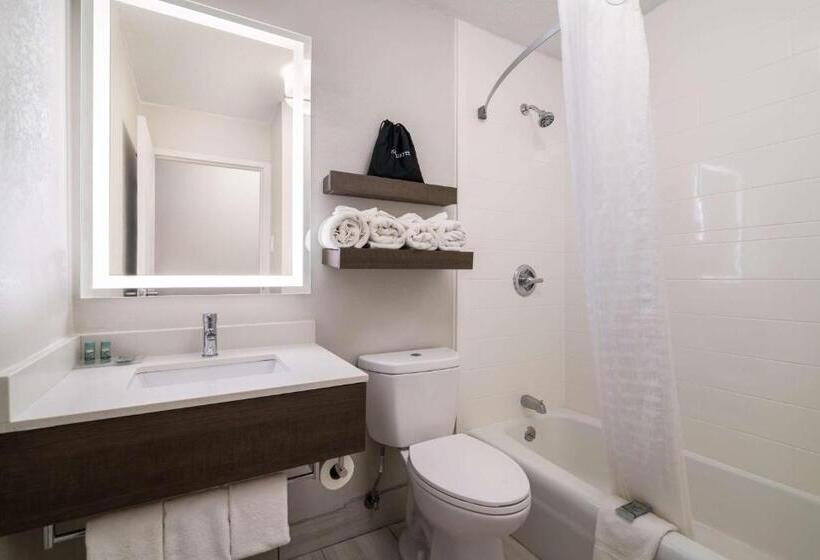 Номер Стандарт Кровать Кинг Адаптированный для Инвалидов, Best Western Plymouth Innwhite Mountains