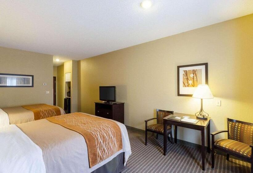 标准间, Comfort Inn & Suites