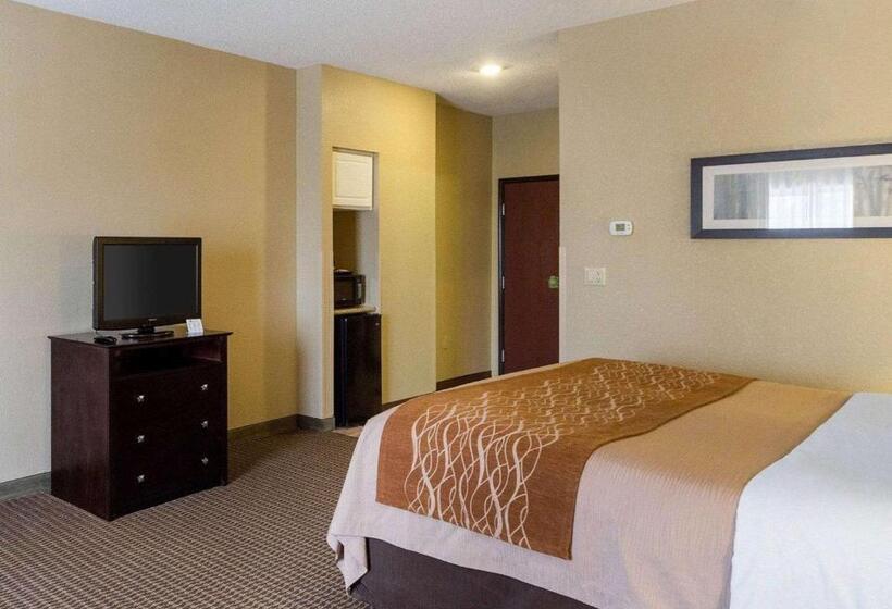 带大床的标准间, Comfort Inn & Suites