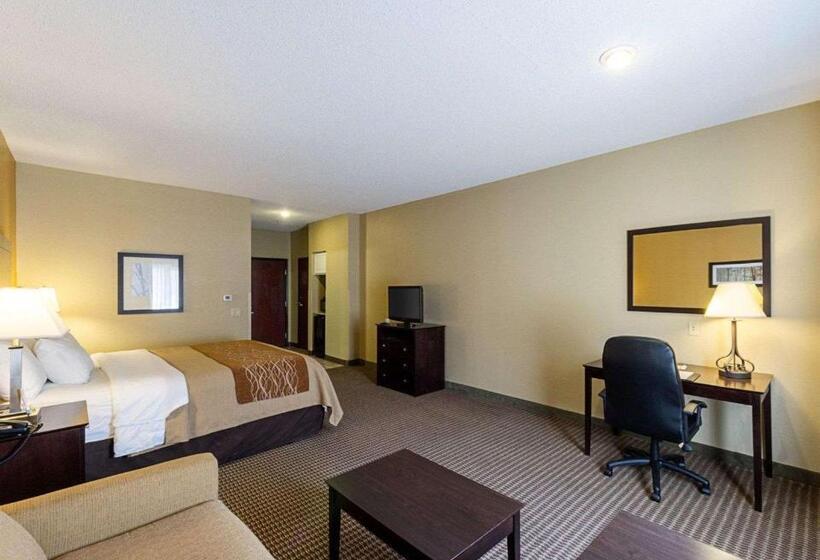 适合残疾人士使用的带超级大床的标准间, Comfort Inn & Suites