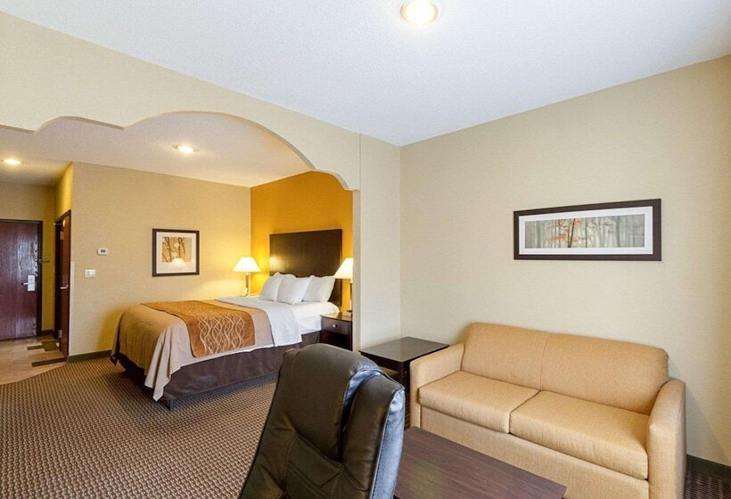 套房, Comfort Inn & Suites