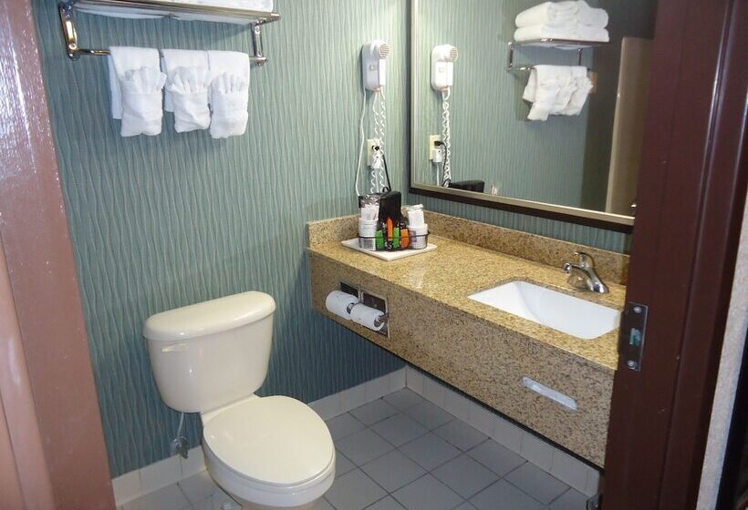 스탠다드 룸, Comfort Inn & Suites