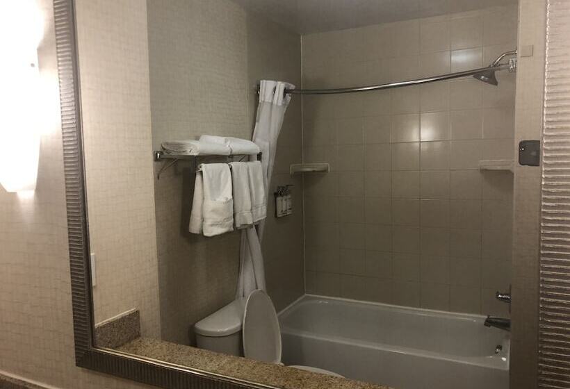 Люкс, Holiday Inn Express Hotel & Suites Lansing Dimondale, An Ihg