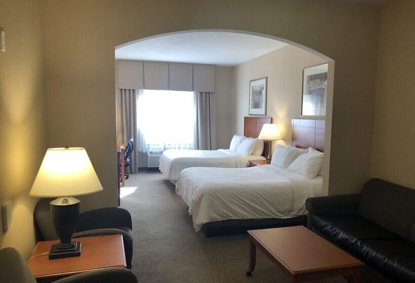 Люкс, Holiday Inn Express Hotel & Suites Lansing Dimondale, An Ihg