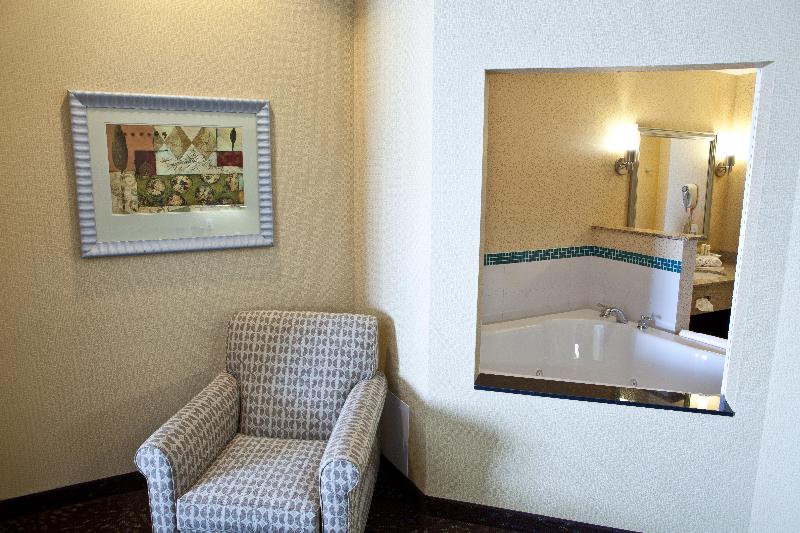 Стандартный Номер Кровать Кинг, Holiday Inn Express Hotel & Suites Lansing Dimondale, An Ihg