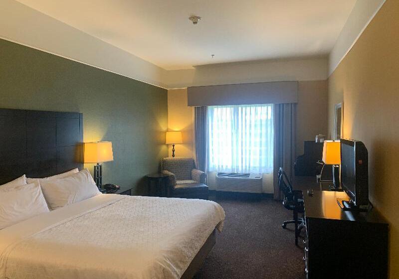 Стандартный Номер Кровать Кинг, Holiday Inn Express Hotel & Suites Lansing Dimondale, An Ihg