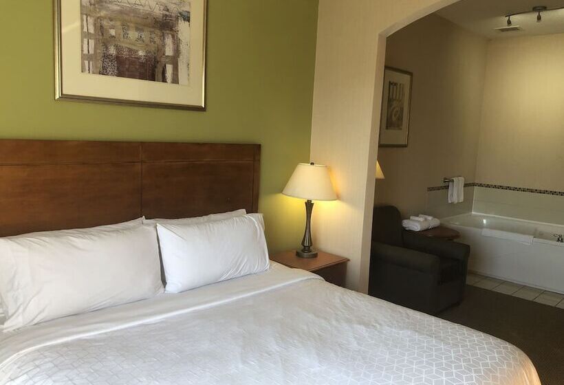 Люкс, Holiday Inn Express Hotel & Suites Lansing Dimondale, An Ihg