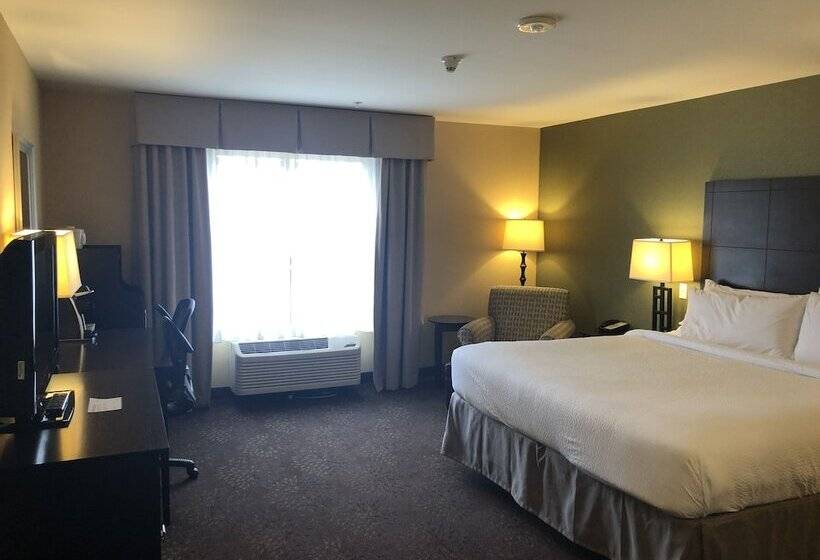 Номер Стандарт, Holiday Inn Express Hotel & Suites Lansing Dimondale, An Ihg