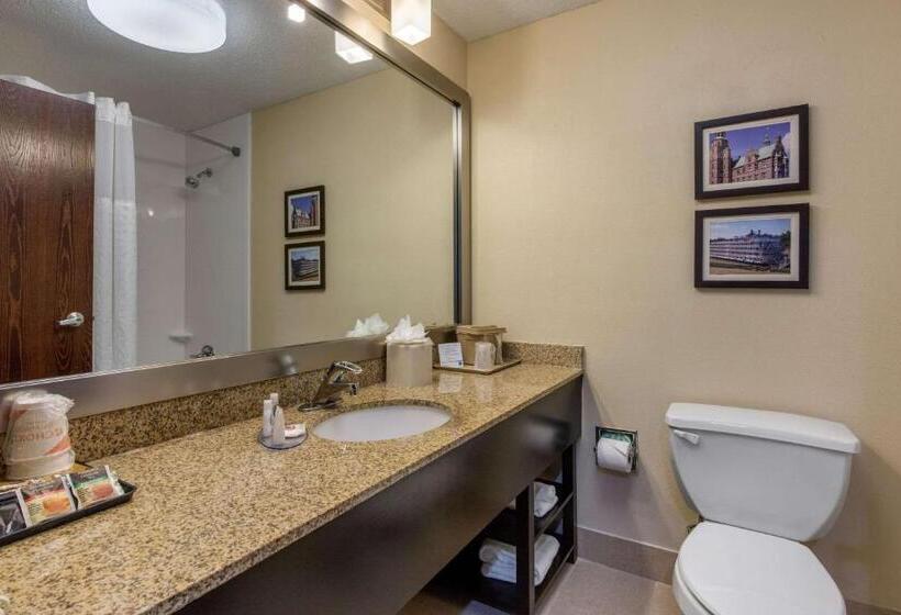 标准间, Comfort Inn Horn Lake   Southaven
