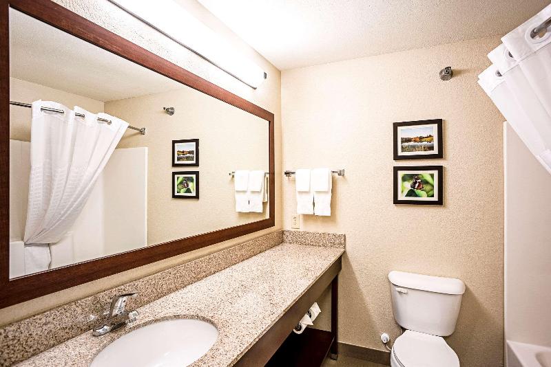 Люкс Кровать Кинг, Comfort Inn & Suites Independence