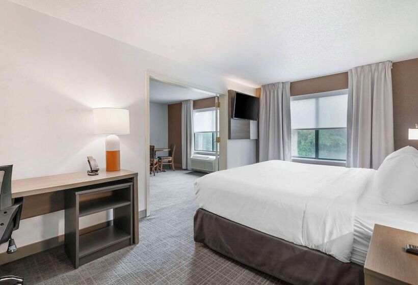 Люкс Адаптированный для Инвалидов, Comfort Inn & Suites Lake George