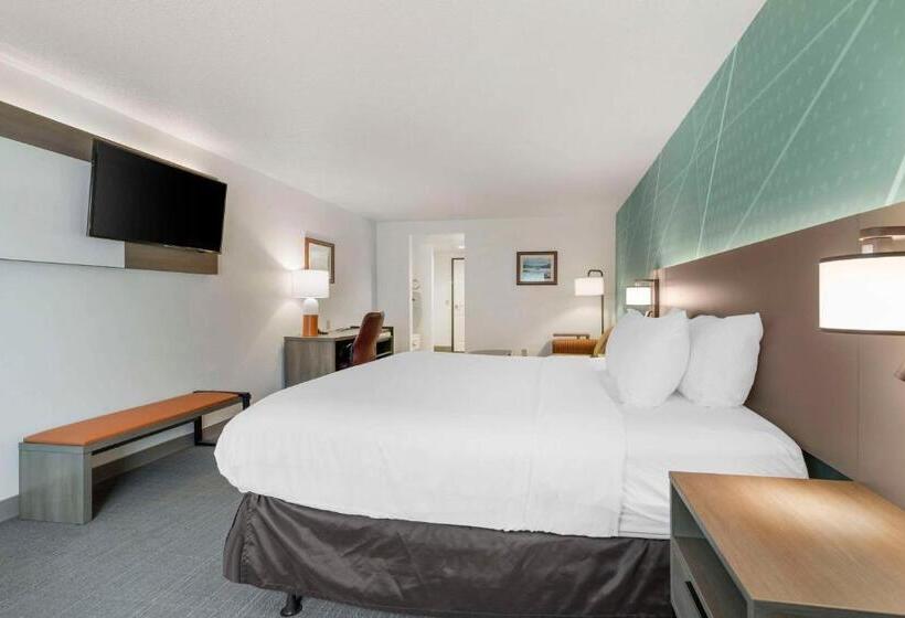 Номер Стандарт Кровать Кинг Адаптированный для Инвалидов, Comfort Inn & Suites Lake George