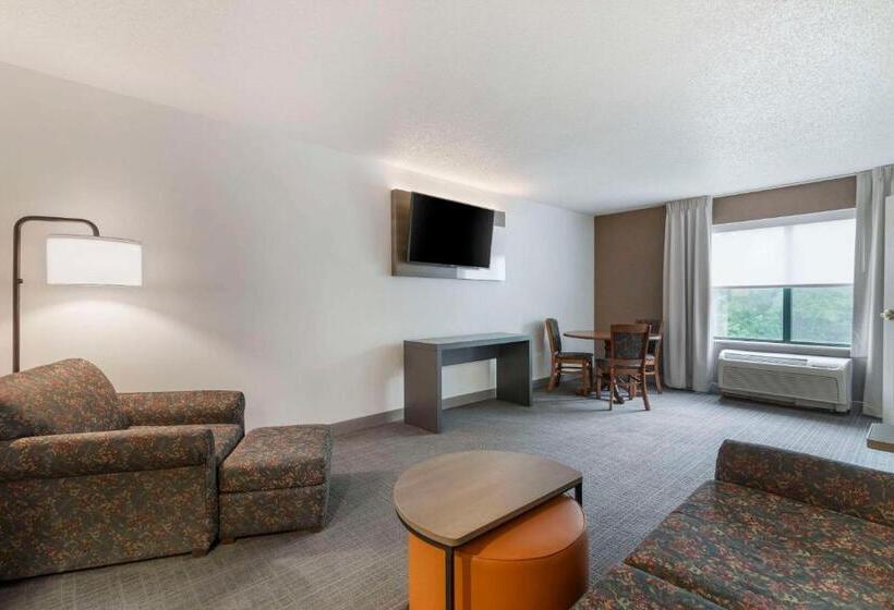 Люкс Адаптированный для Инвалидов, Comfort Inn & Suites Lake George