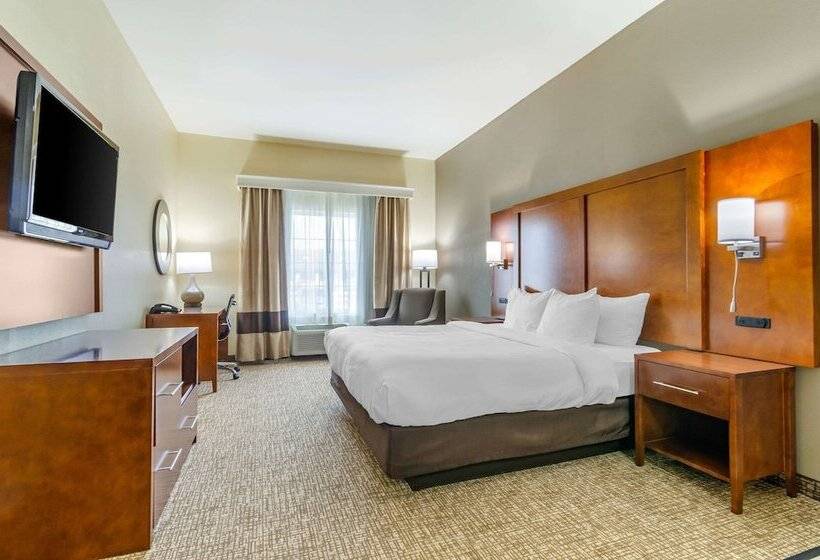 Люкс, Comfort Inn & Suites Near Bethel College