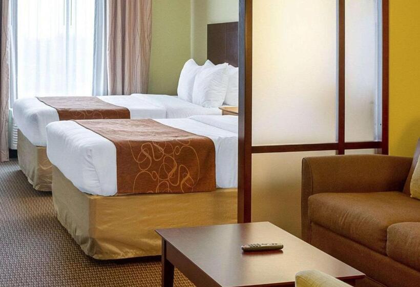 Люкс Адаптированный для Инвалидов, Comfort Suites Harvey   New Orleans West