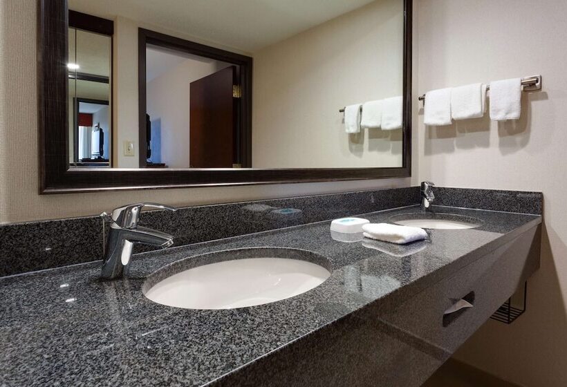 套房, Drury Inn & Suites Denver Tech Center