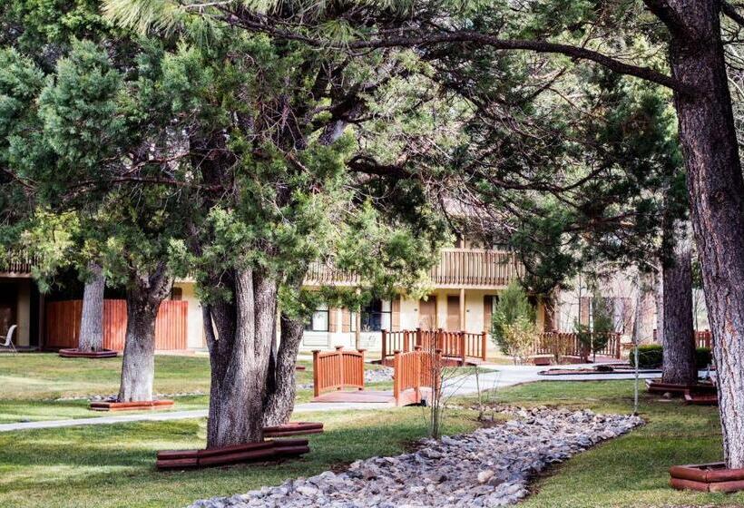 Стандартный Номер Кровать Кинг, Best Western Pine Springs Inn