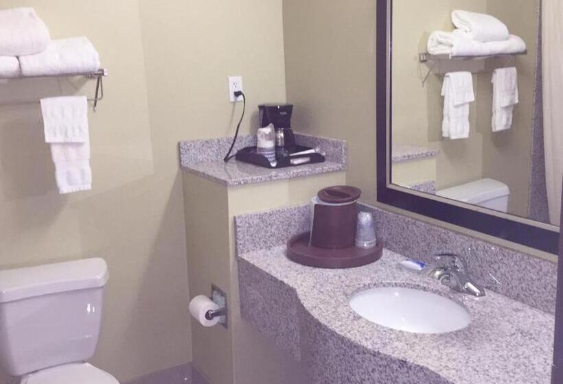 标准间, Best Western Plus Desoto Inn & Suites