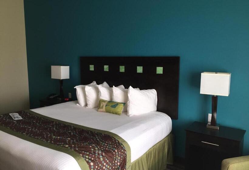 Люкс Кровать Кинг, Best Western Plus Desoto Inn & Suites