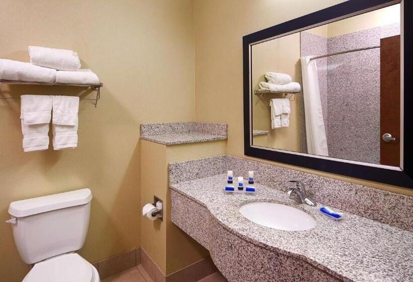 Номер Стандарт Кровать Кинг Адаптированный для Инвалидов, Best Western Plus Desoto Inn & Suites