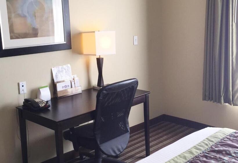 Номер Стандарт, Best Western Plus Desoto Inn & Suites