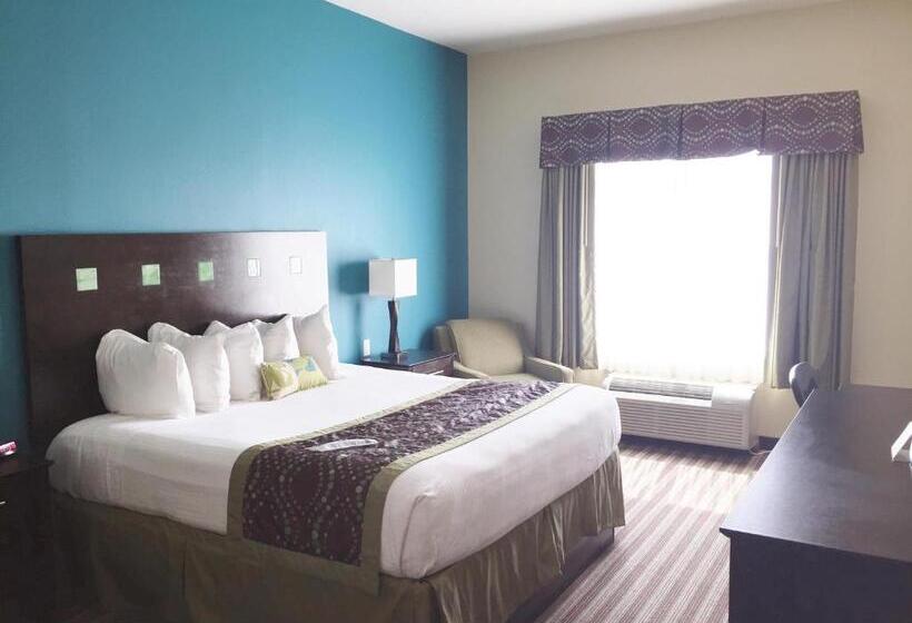 标准间, Best Western Plus Desoto Inn & Suites