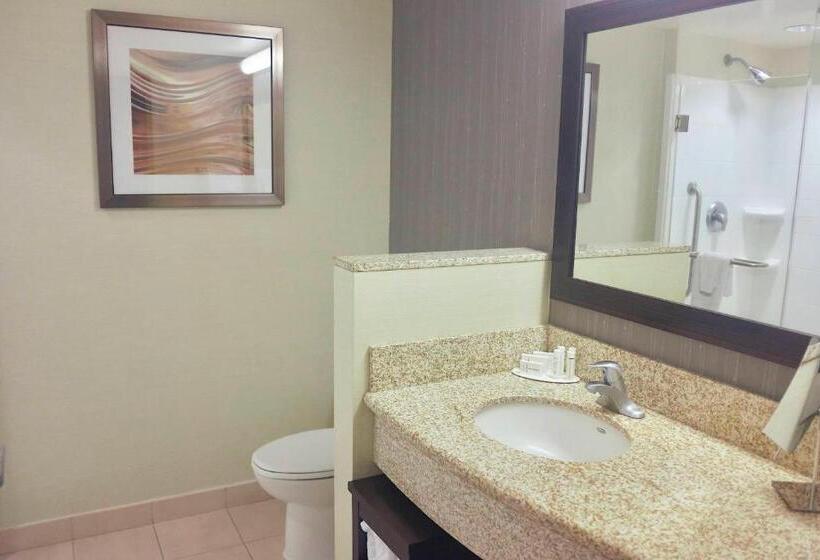 اتاق استاندارد با تخت بزرگ, Courtyard By Marriott Owensboro