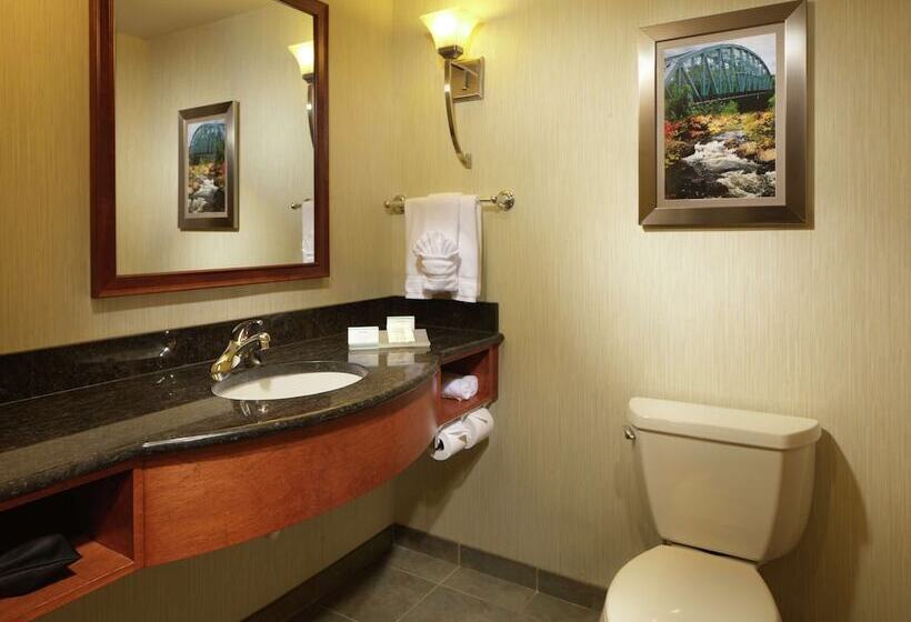 Номер Стандарт Адаптированный для Инвалидов, Hilton Garden Inn Milford