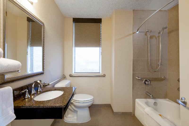 스탠다드 룸 킹사이즈 침대, Holiday Inn Metairie New Orleans, An Ihg
