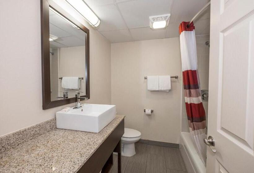 Номер Deluxe Кровать Кинг, Red Roof Inn Plus+ Poughkeepsie