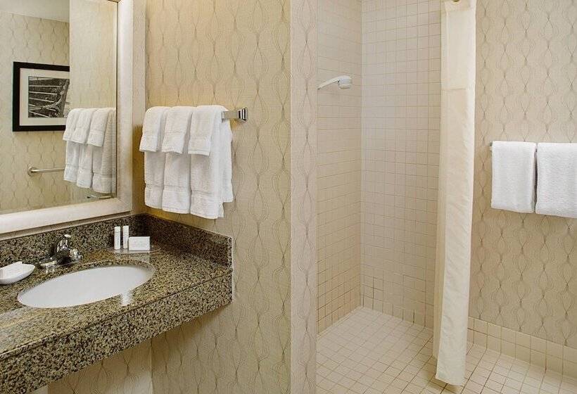 Люкс Адаптированный для Инвалидов, Residence Inn Worcester