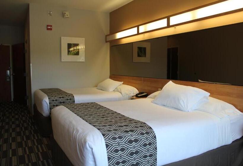장애인을 위한 스탠다드 룸, York Microtel Inn & Suites By Wyndham